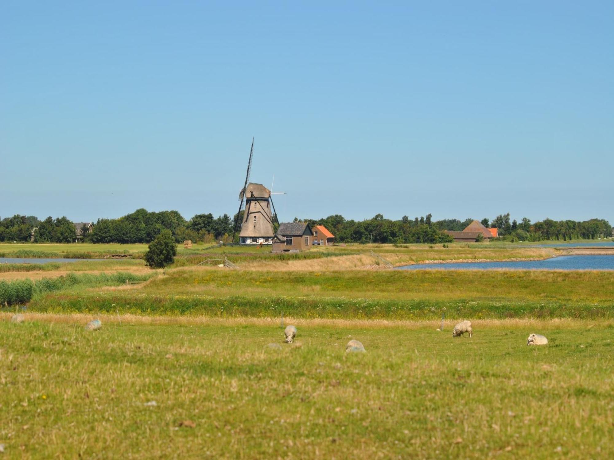 Lovely Holiday Home In Texel Near Sea Oost  Eksteriør bilde