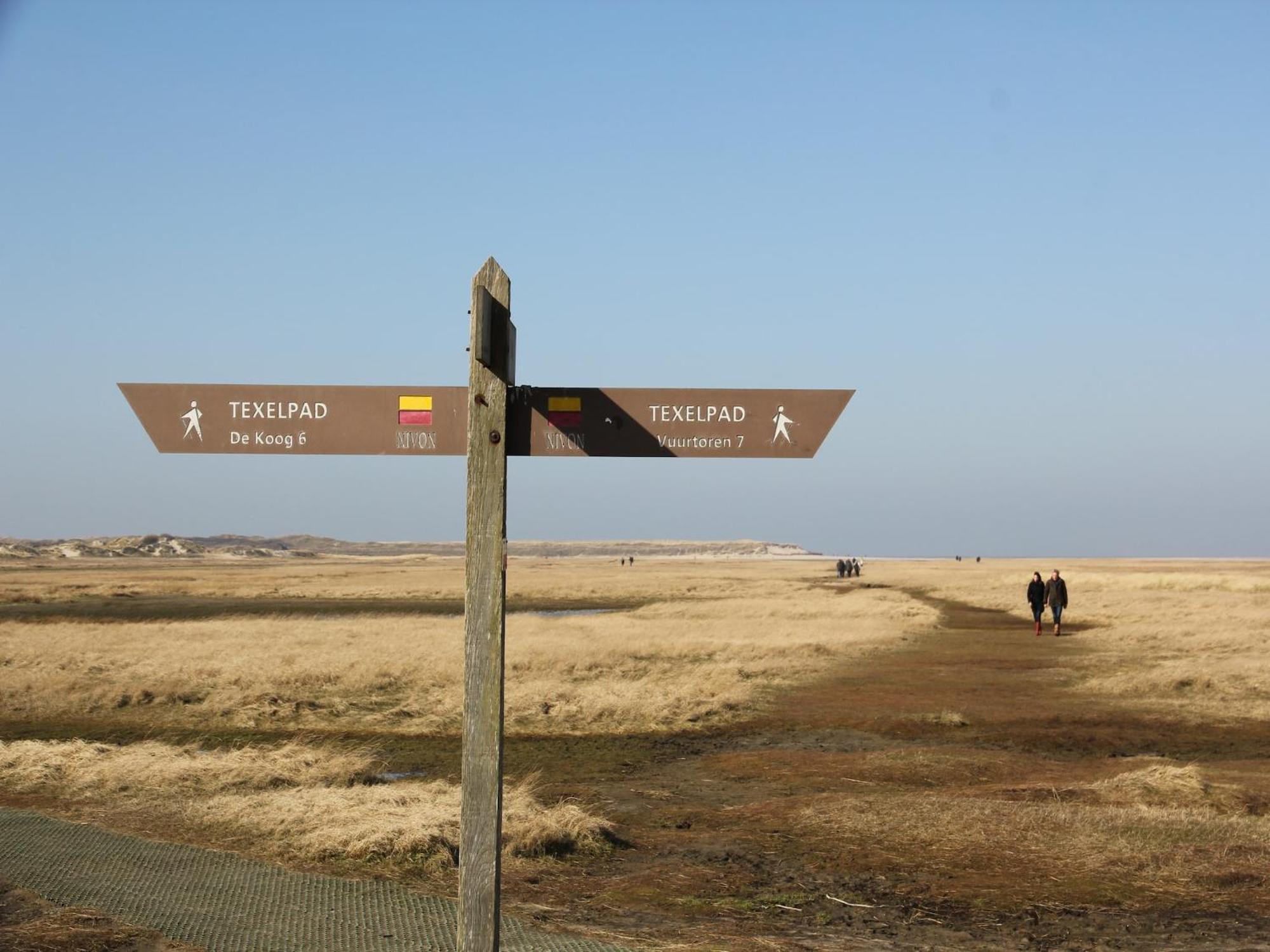 Lovely Holiday Home In Texel Near Sea Oost  Eksteriør bilde