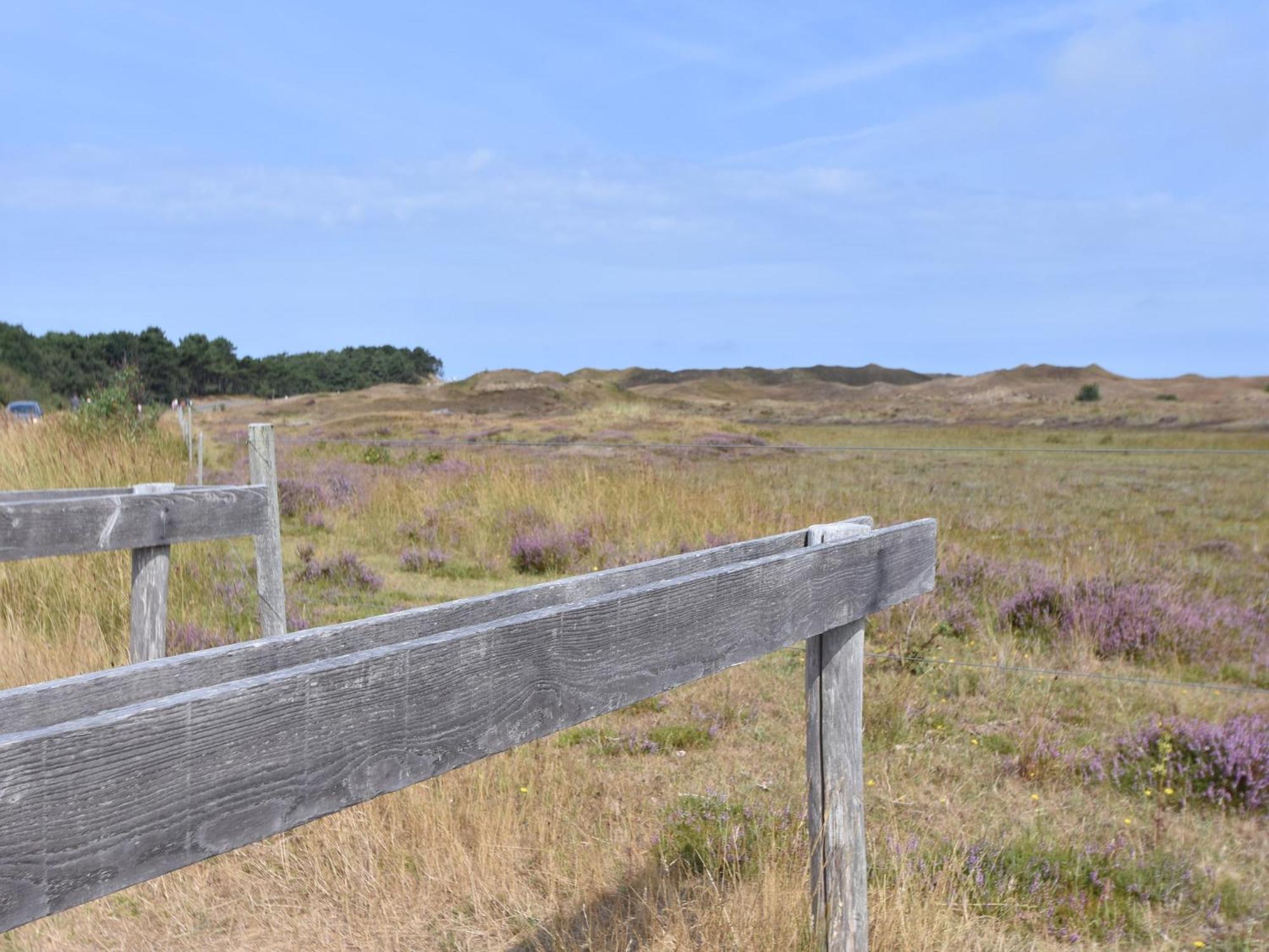 Lovely Holiday Home In Texel Near Sea Oost  Eksteriør bilde